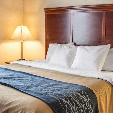 Comfort Inn & Suites Kent - University Area Екстериор снимка